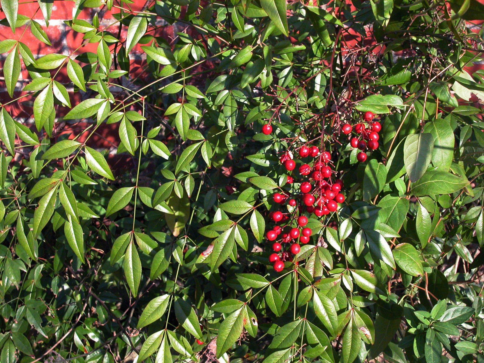 Watch for lots of color all year round (copy)